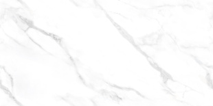 Керамогранит NT Ceramic Marmo Statuario Endless арт. NTT99506P (60x120) полированный